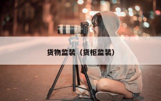 货物监装（货柜监装）