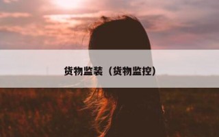 货物监装（货物监控）