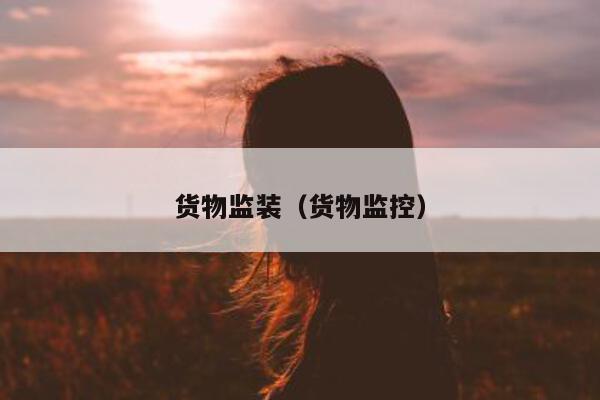 货物监装（货物监控）  第1张