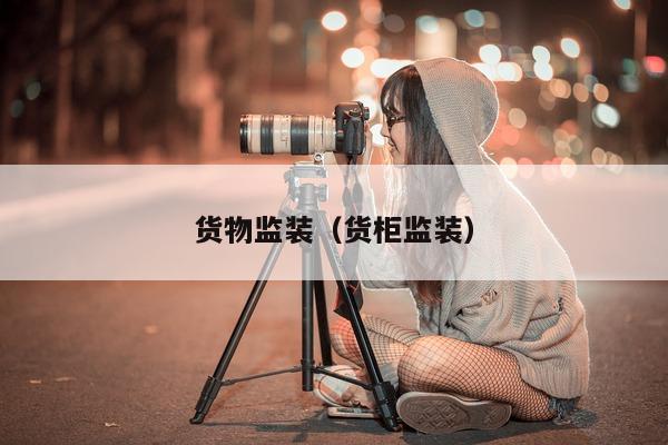 货物监装（货柜监装）  第1张
